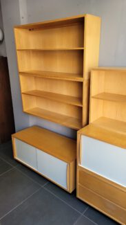 schrank/regalsystem ca 1960 schweiz